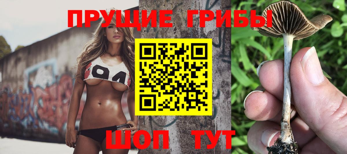 Галлюциногенные грибы GOLDEN TEACHER  Псилоцибиновые грибы Psilocybine cubensis  Вход с VPN  Лабинск 